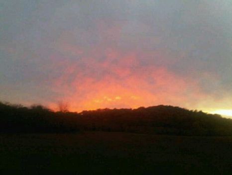 'UFOs' spotted through Billy Ray's camera lense (Picture: Twitter)